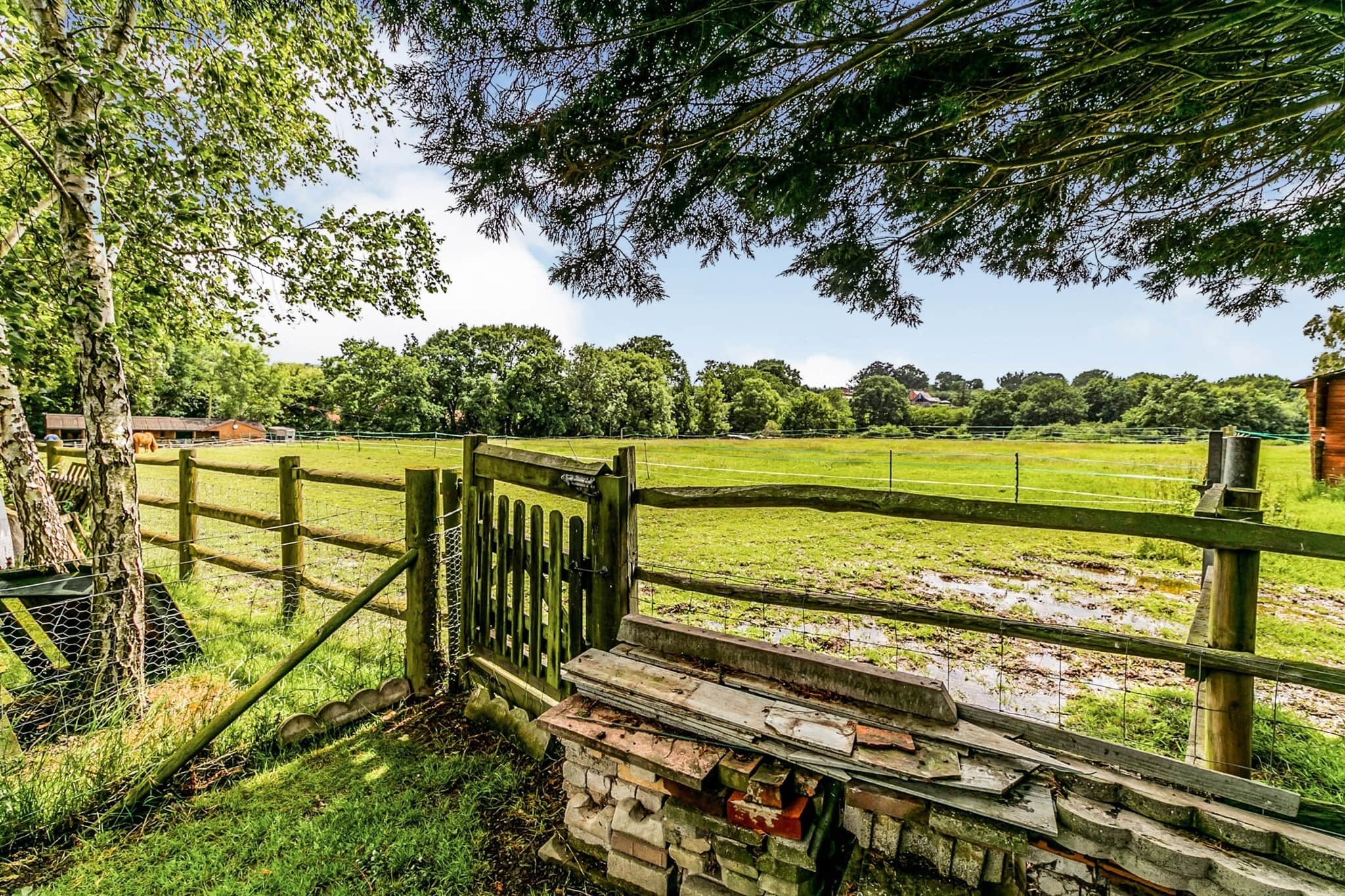 Property photo 13