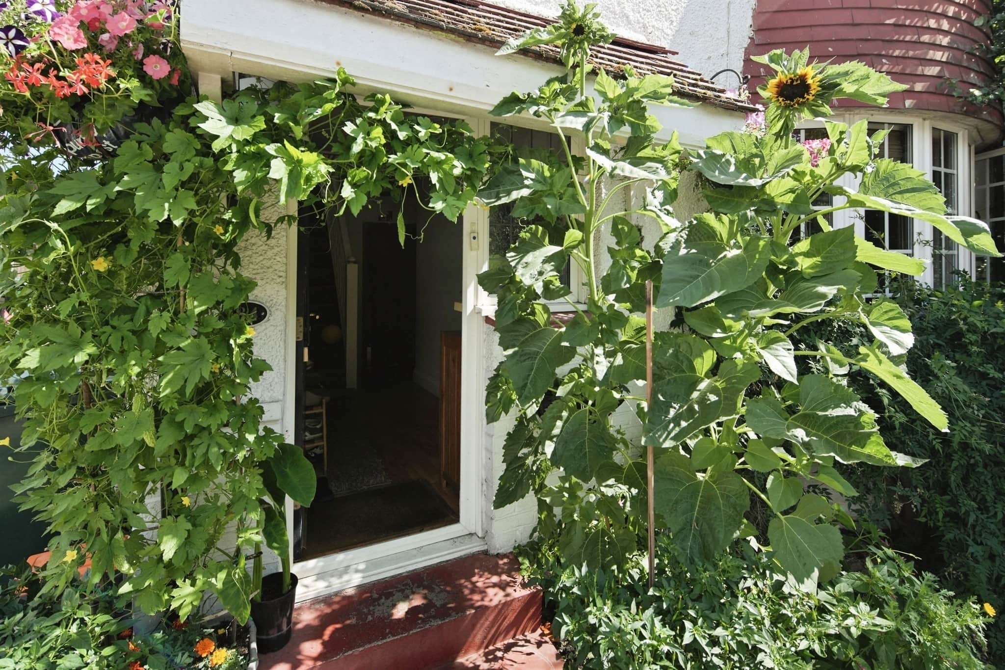 Property photo 20